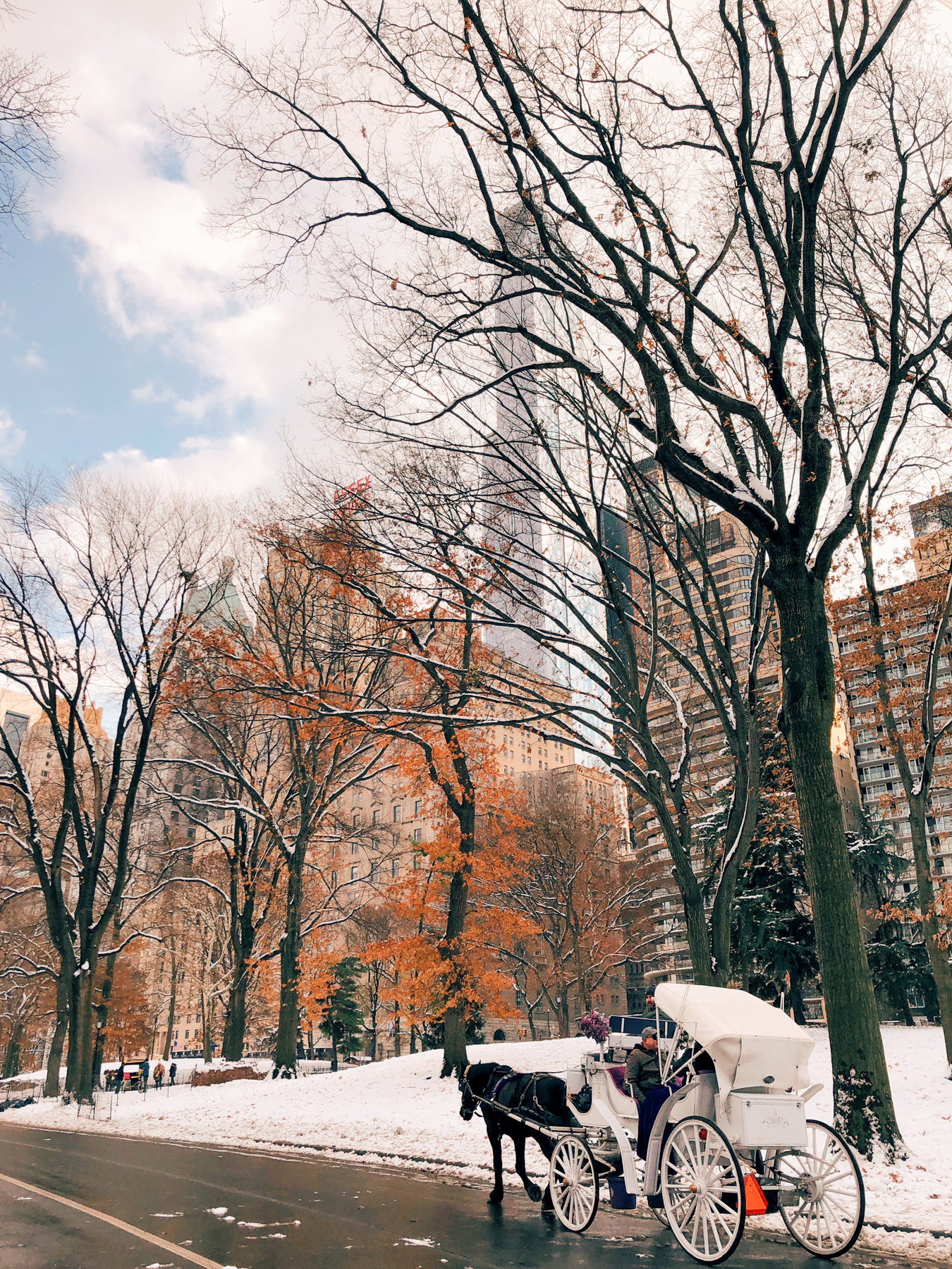 Horse carriage in Central Park